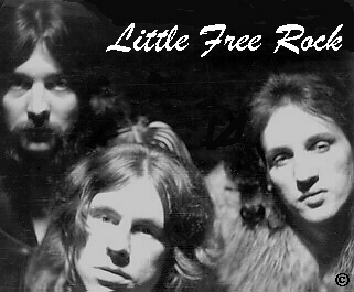 Little Free Rock photo